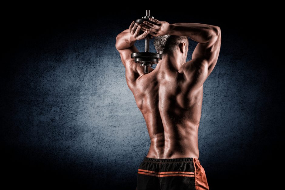 腹筋ローラーは腹筋だけでなく背筋も効果が 腹筋ローラーで背筋を鍛える方法 筋トレクラブ